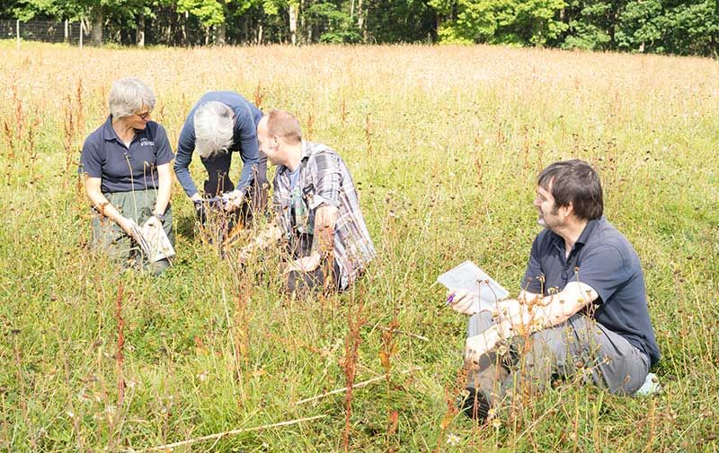 volunteers-planting